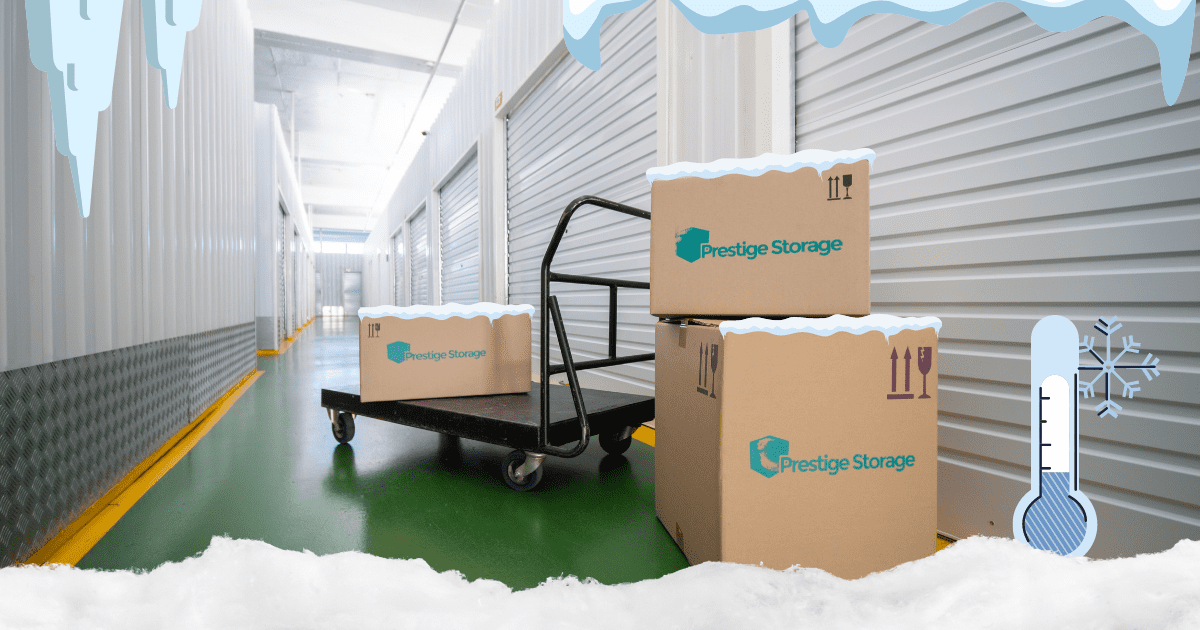 winter STORAGE