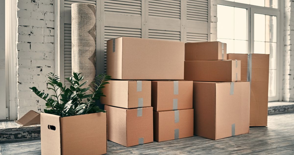 cardboard moving boxes